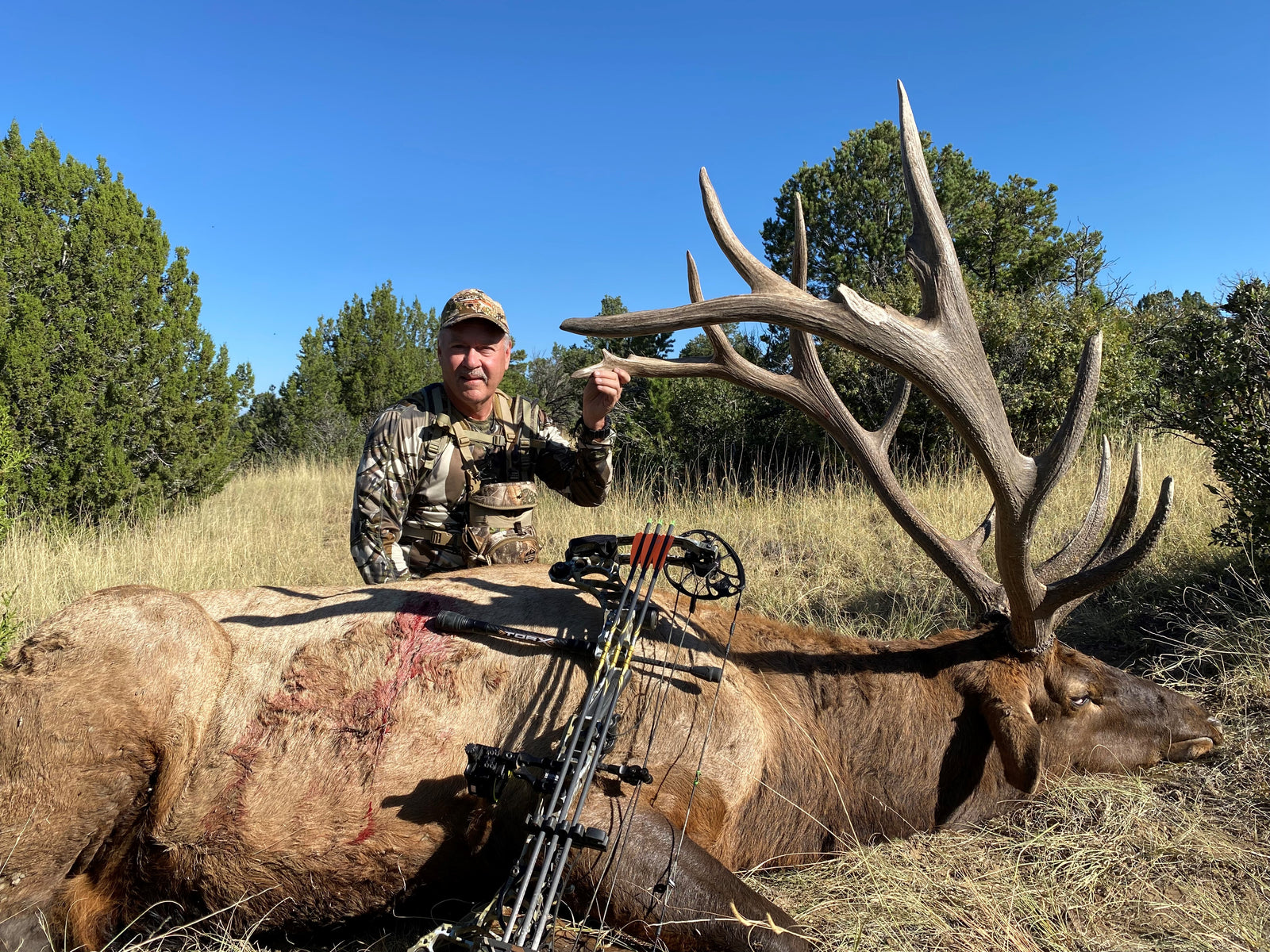 Rode Walker Bull Elk