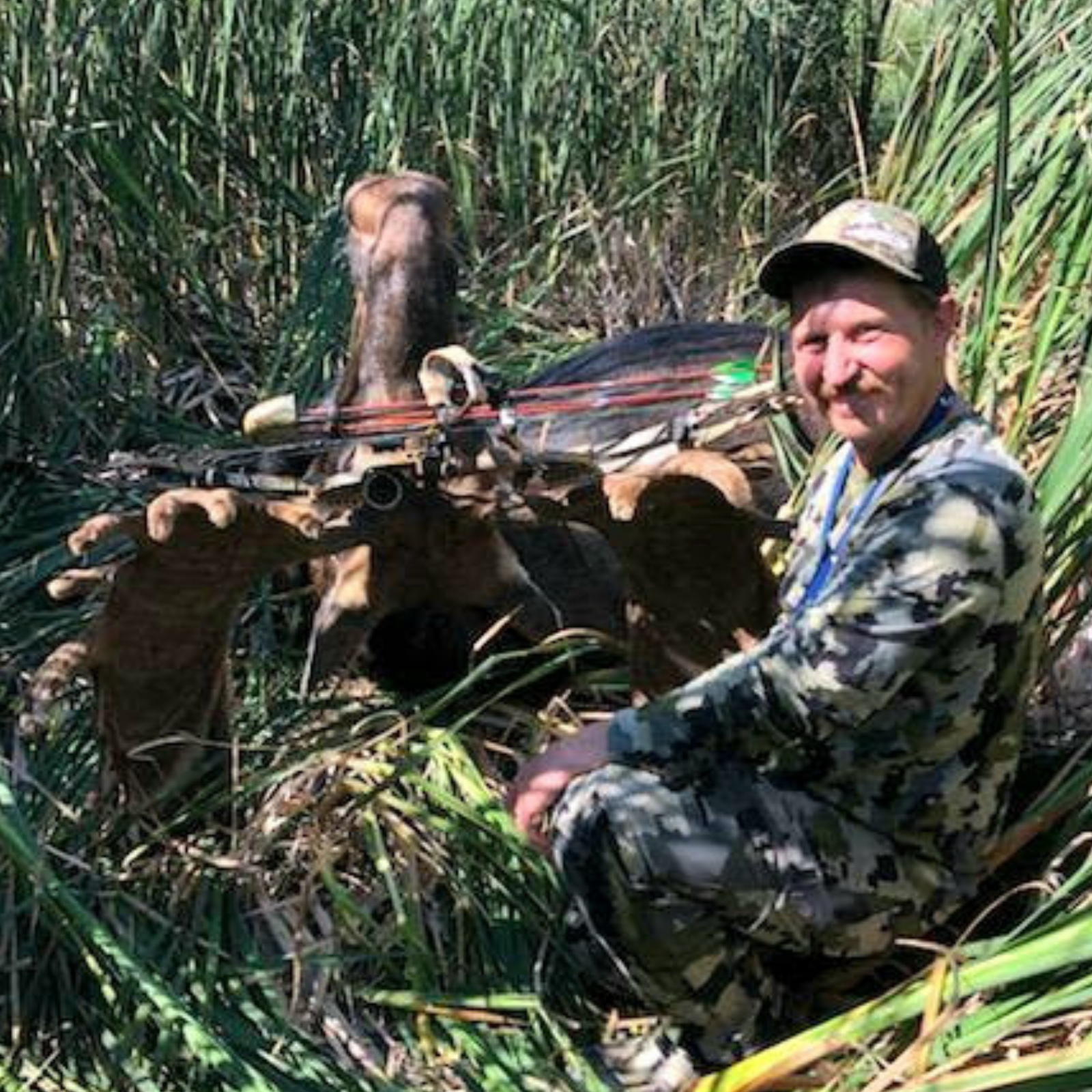 Pope & Young Canadian velvet Moose broadheads