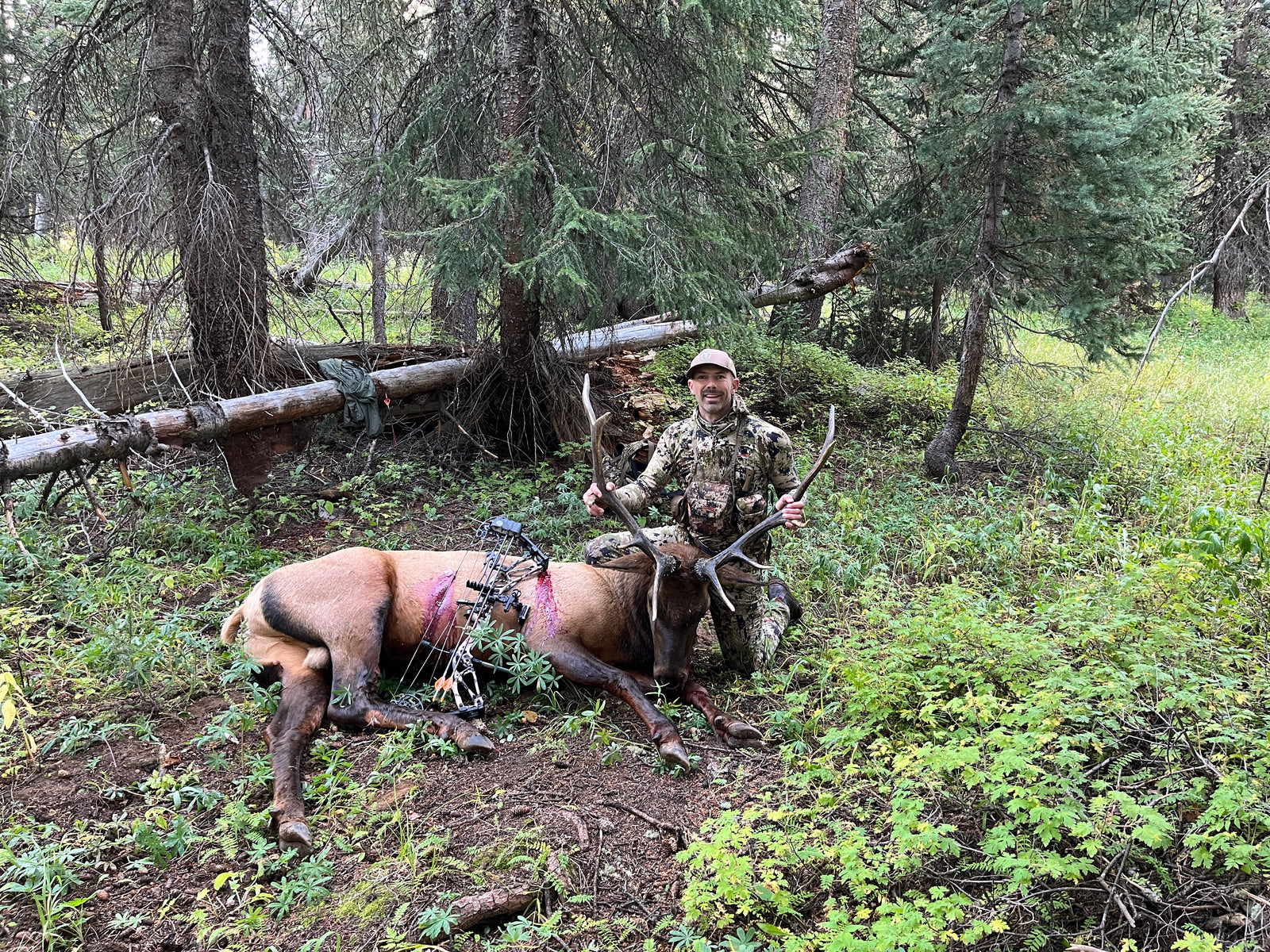 Effort Pays Off on Backcountry Elk Hunt