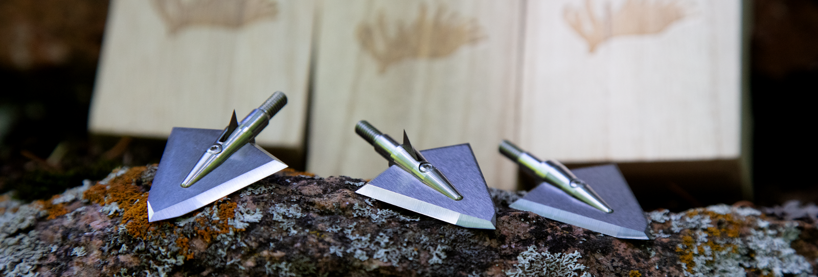 The Basics Of Hunting With A Bow For Beginners