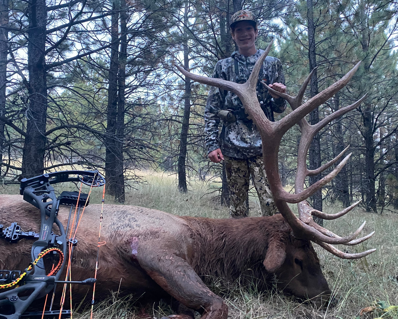 Father/Son Bull Elk