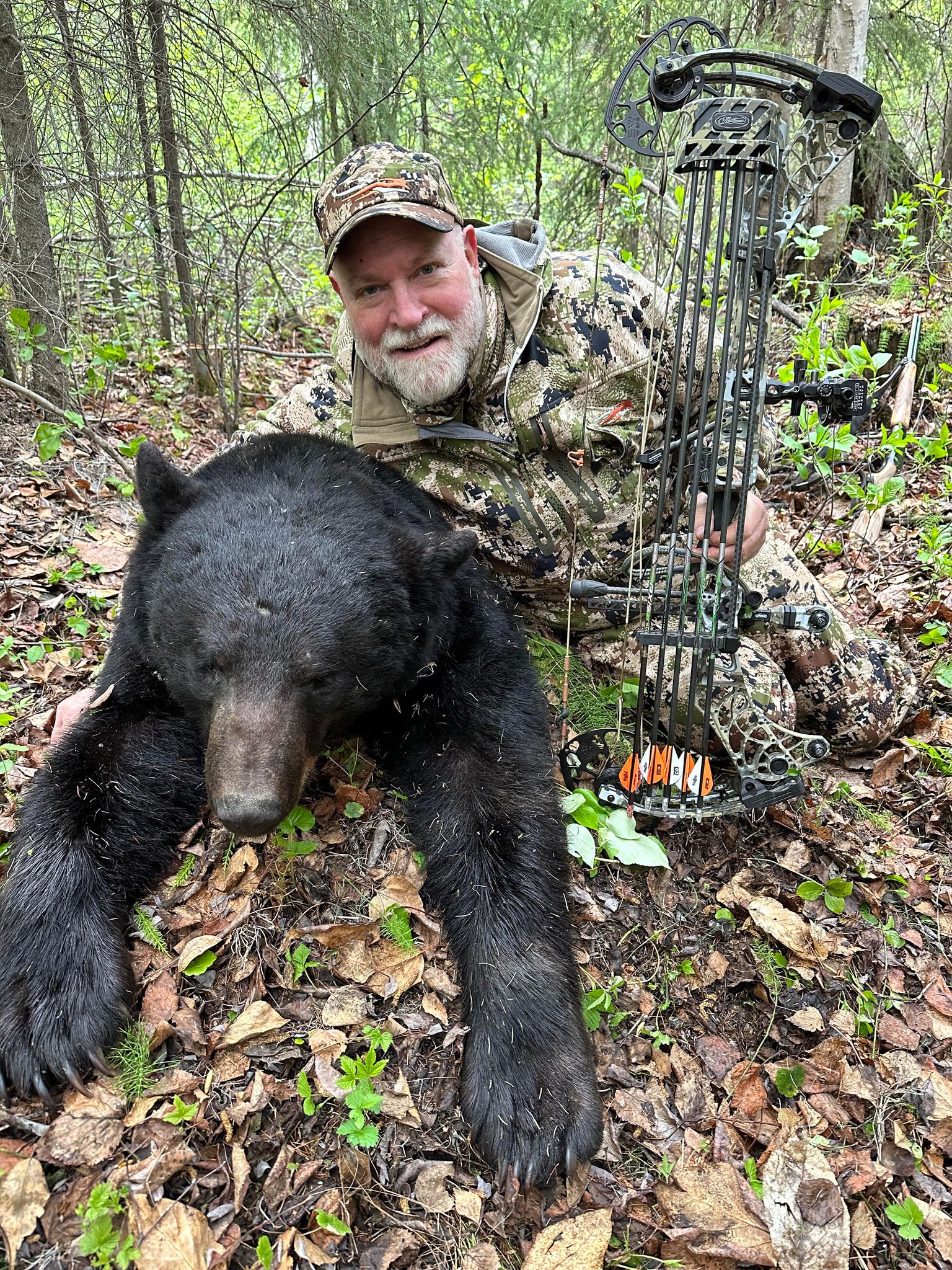 Two Bears with One Broadhead