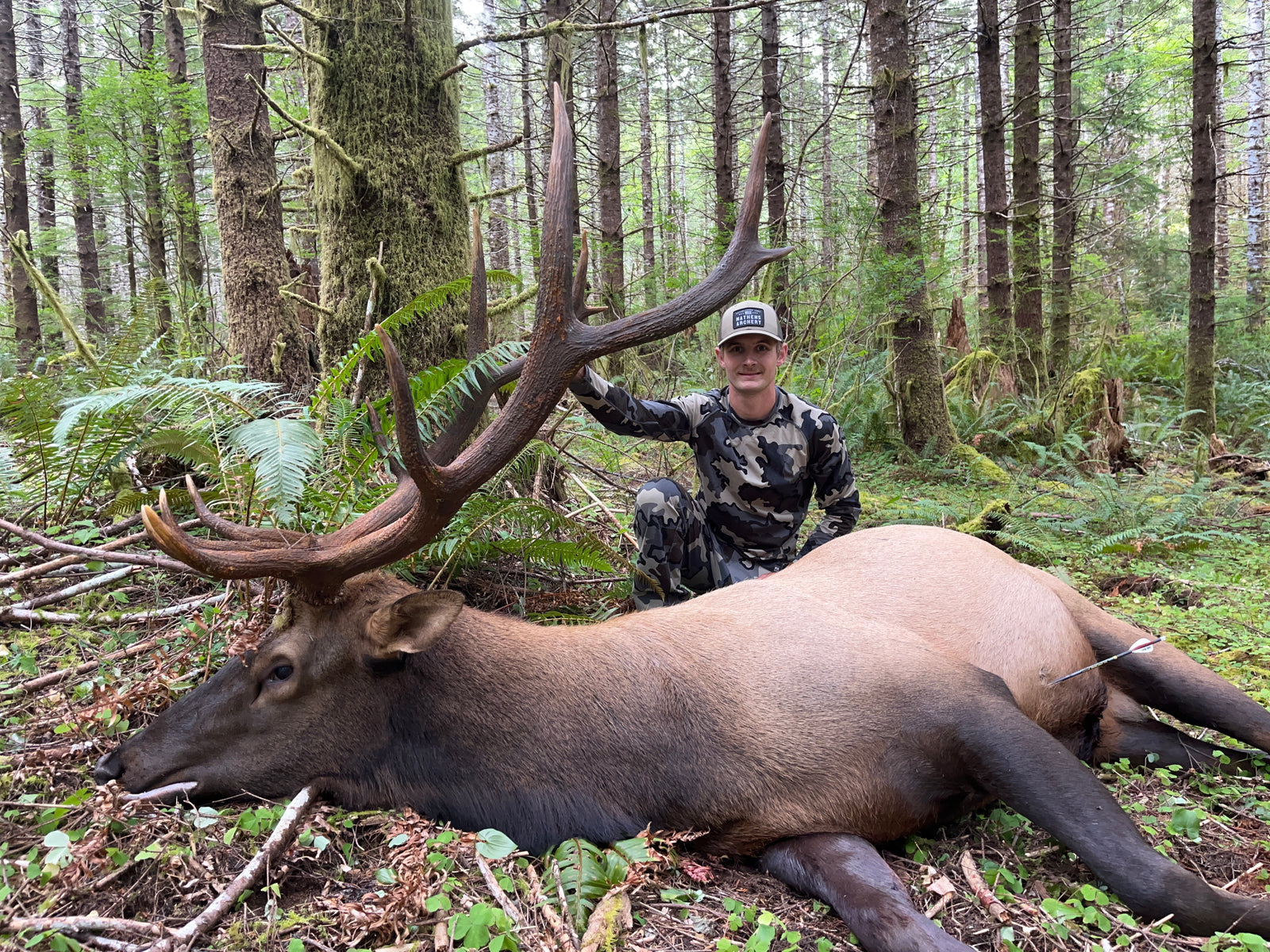 Well… I’m impressed folks!