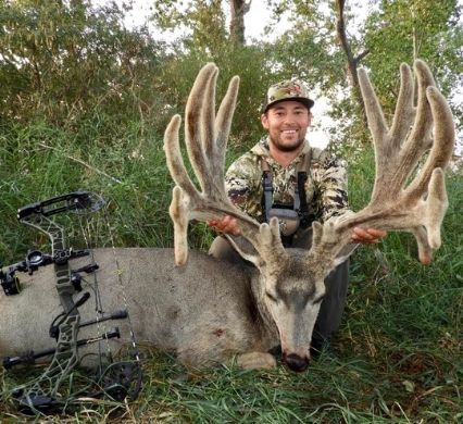 Giant Alberta Mule Deer with Iron Will Broadhead