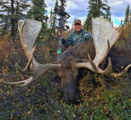 Trophy Moose of a Lifetime