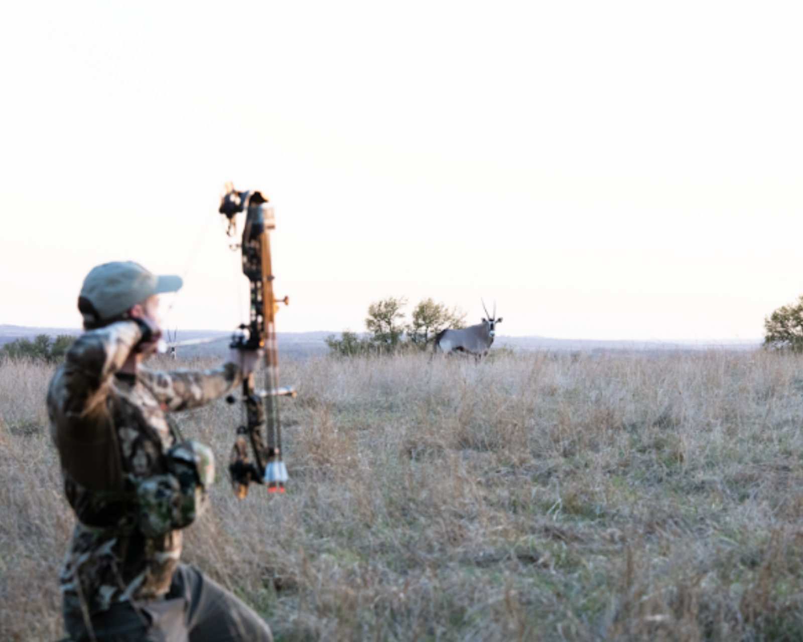 Common Mistakes Bow Hunters Can Avoid