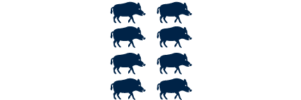 8 hog silhouettes