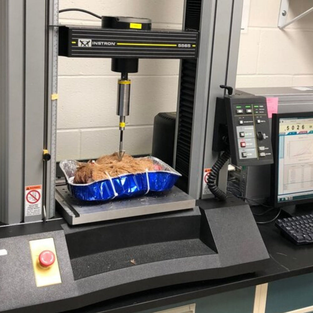 Instron machine performing a broadhead penetration test on a wild game carcass