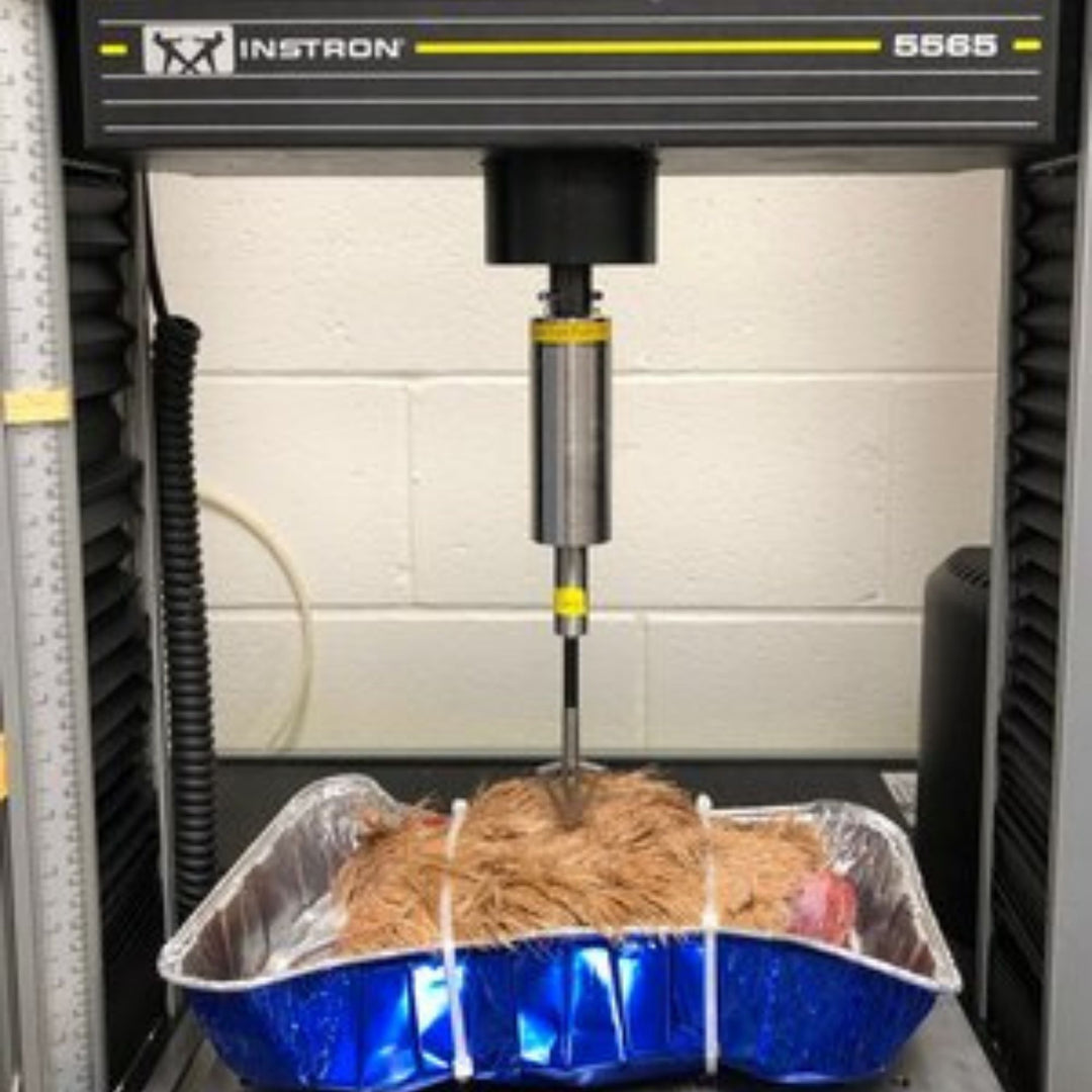 picture of an Instron machine pushing an arrow through a carcass