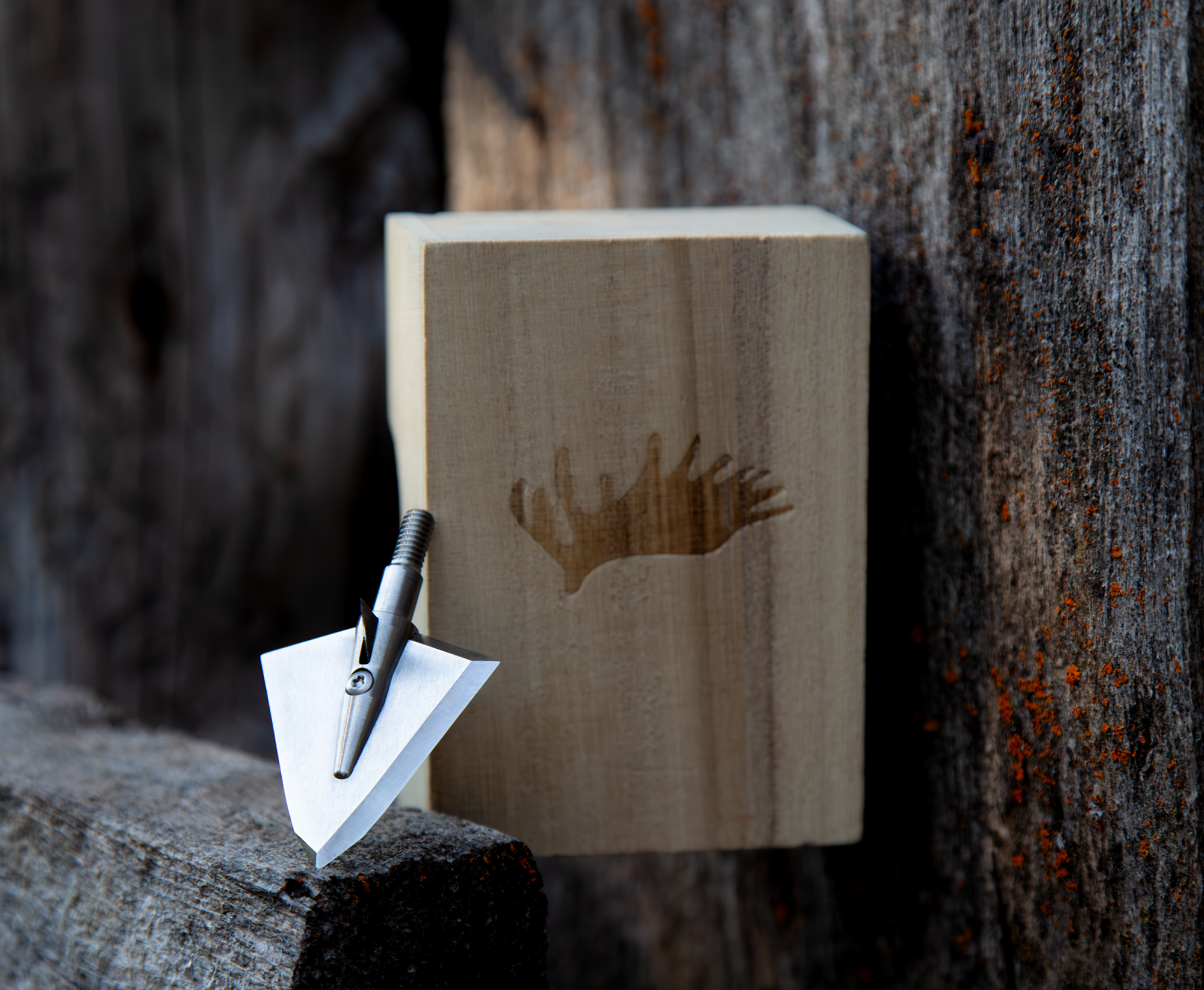 single bevel broadhead on a wood fence with it's wood case. 