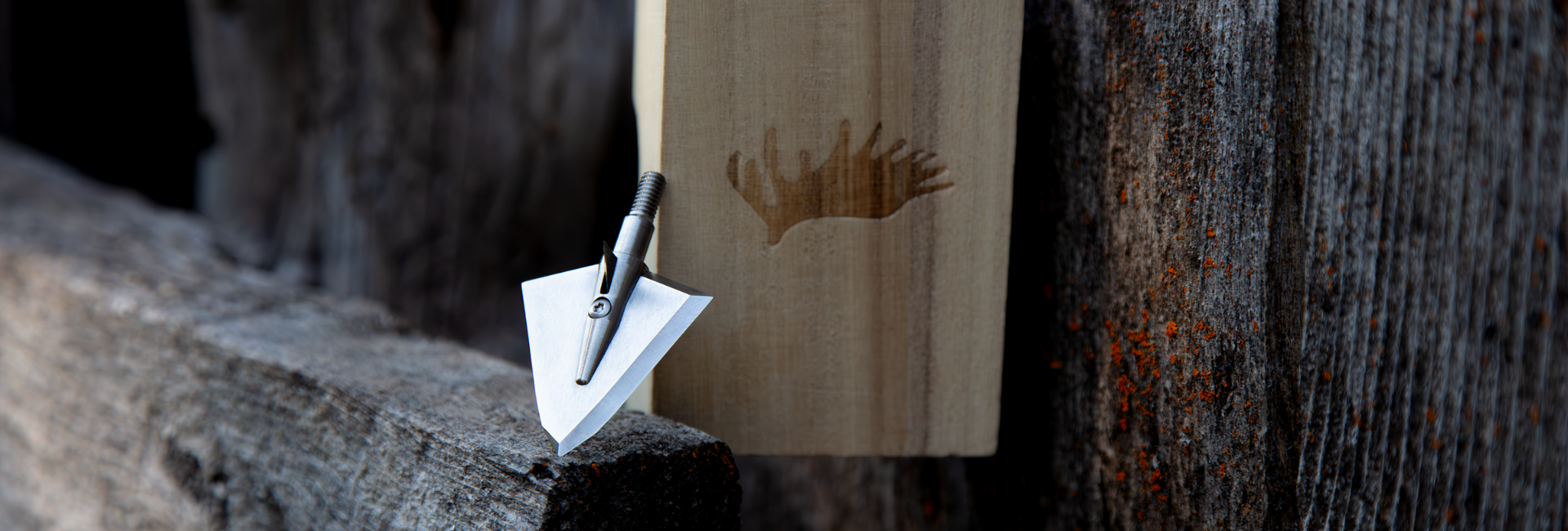 single bevel broadhead on a wood fence with it's wood case. 