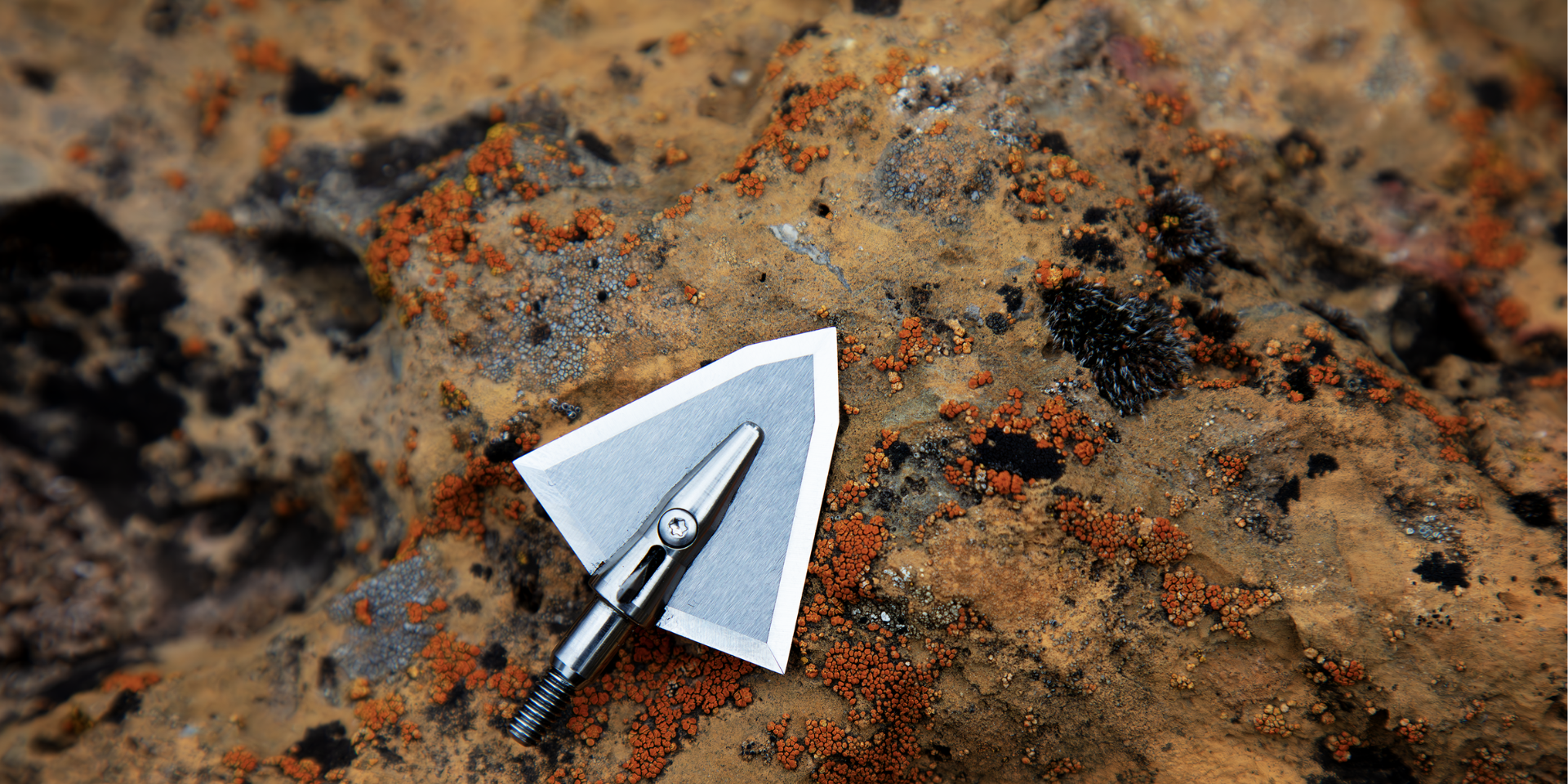 wide broadhead over top of rock with moss on it