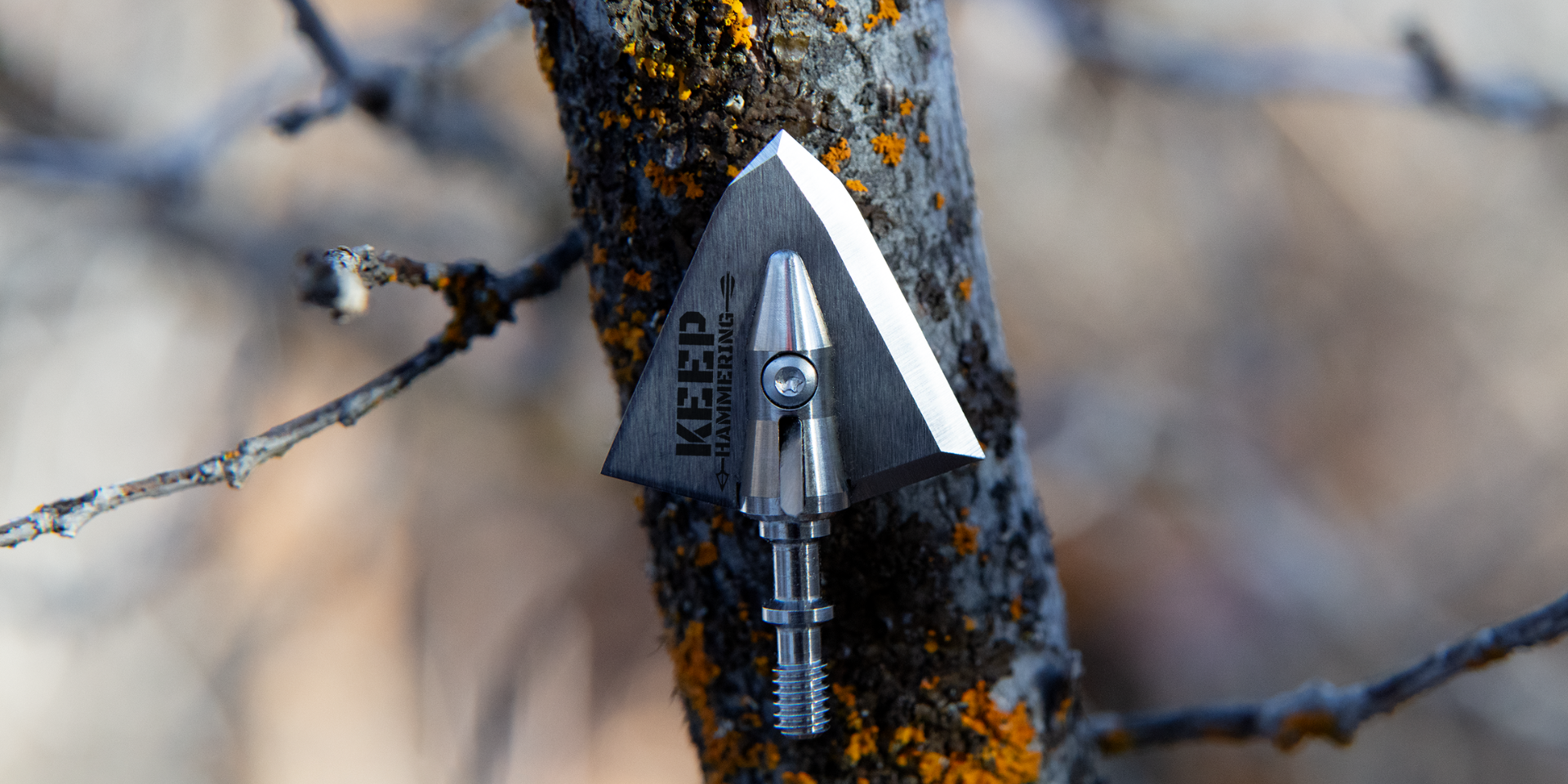cameron hanes' broadhead over top of a tree branch