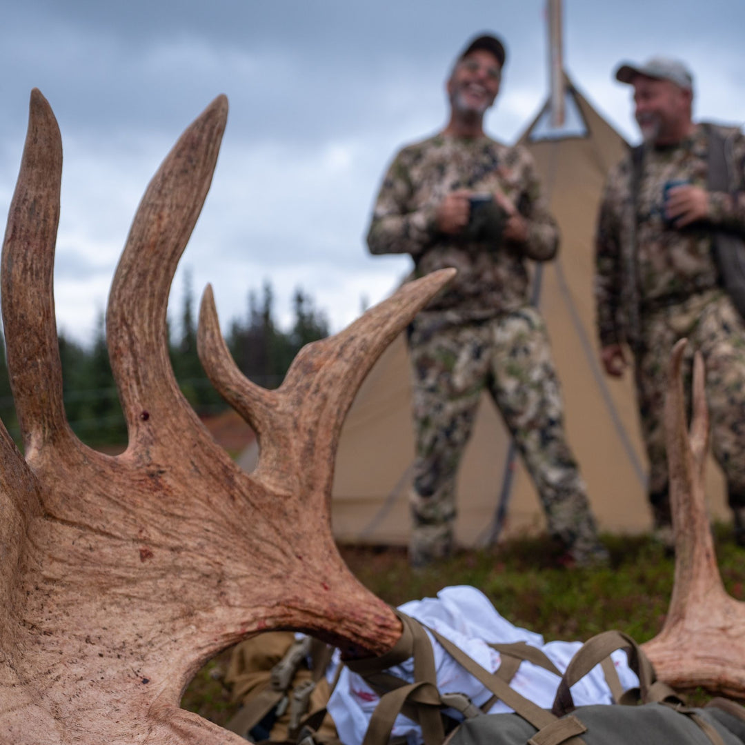 moose antler square