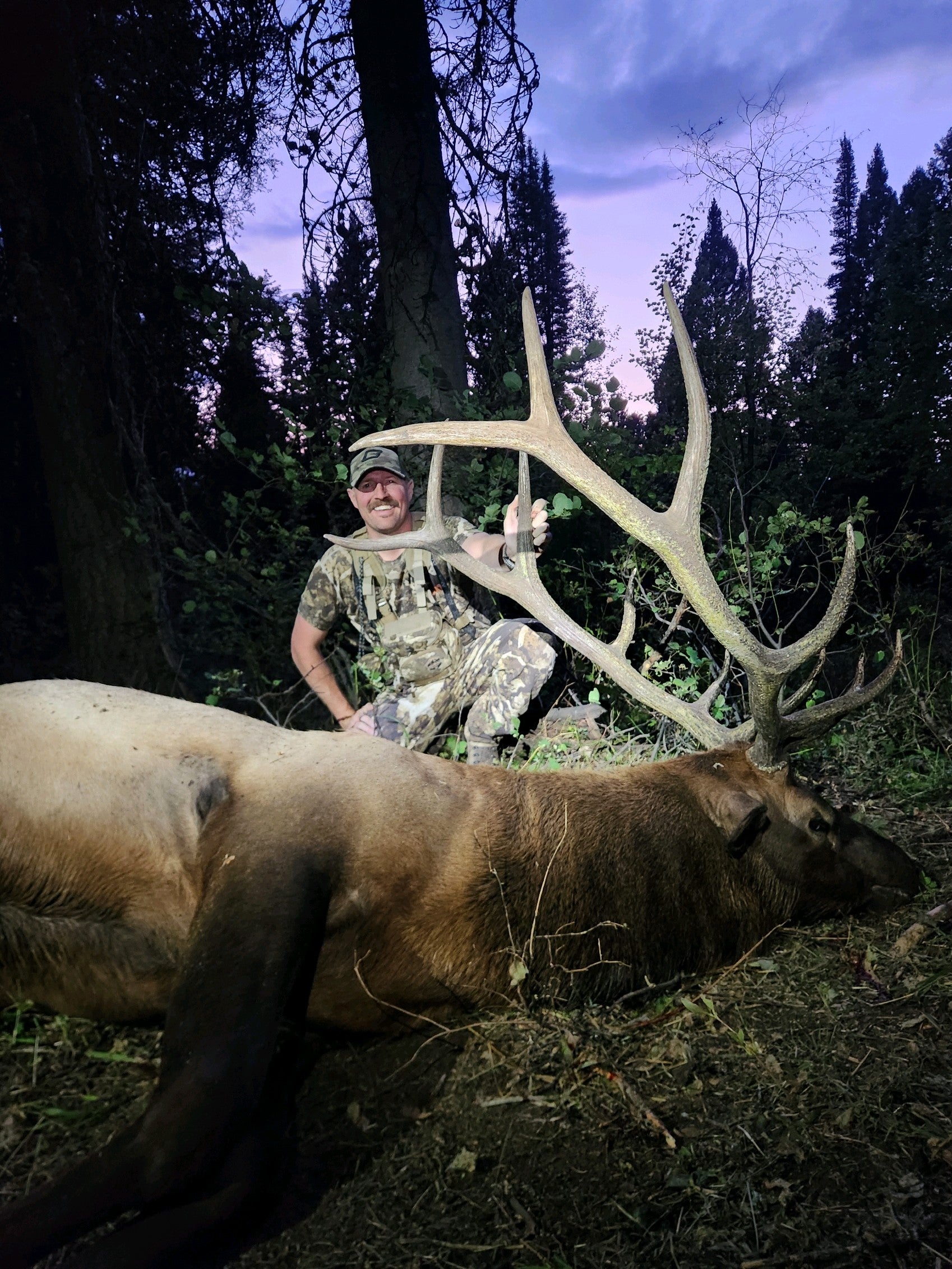 Idaho Public Land Elk Hunt Success