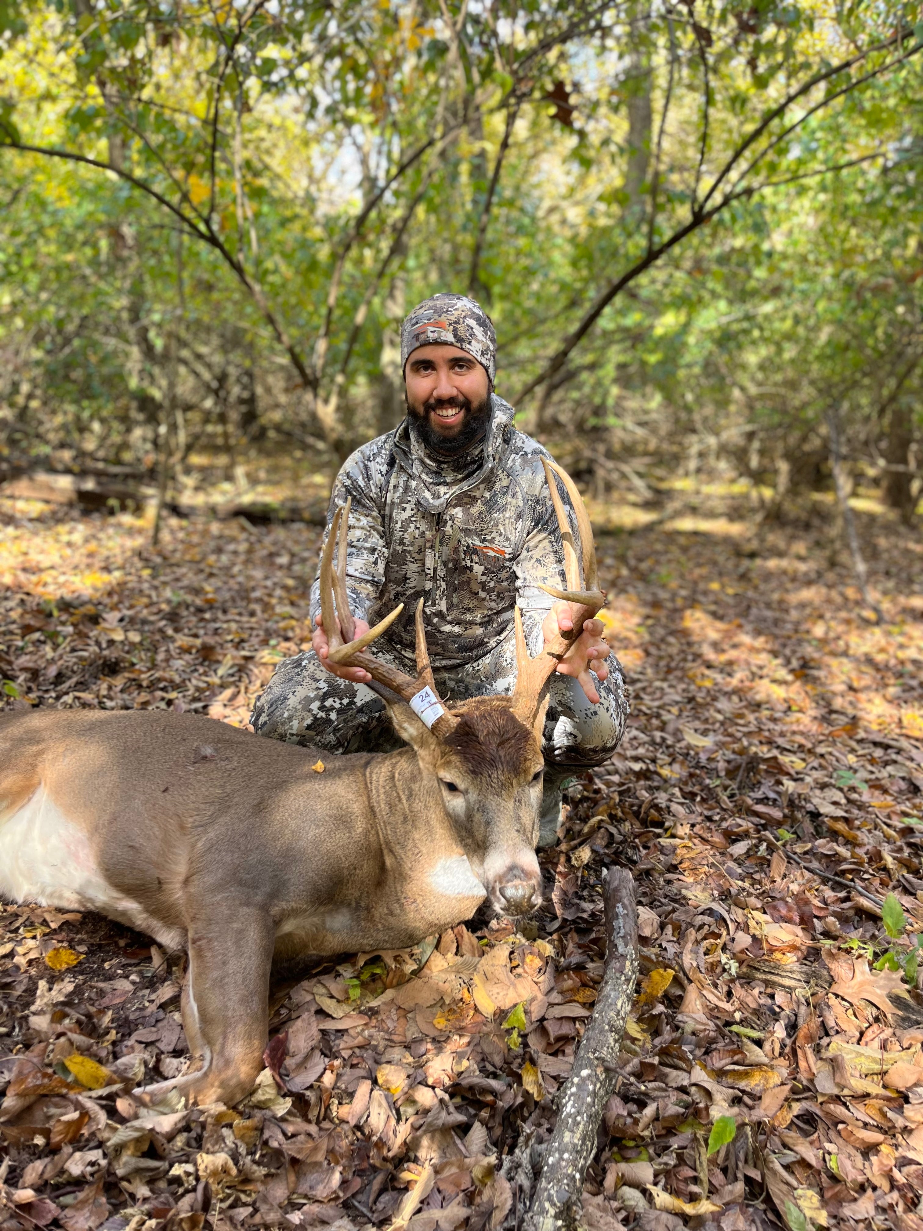 Illinois public land whitetail bow hunt