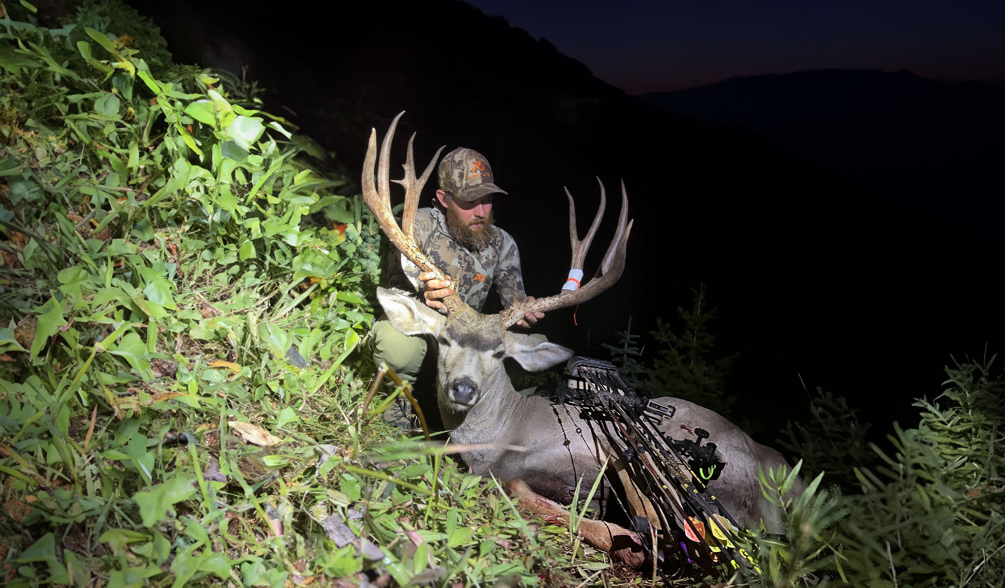 big mule deer with bow