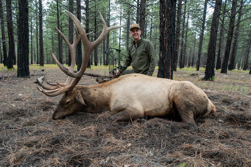 Jim Tapp Arizona Elk