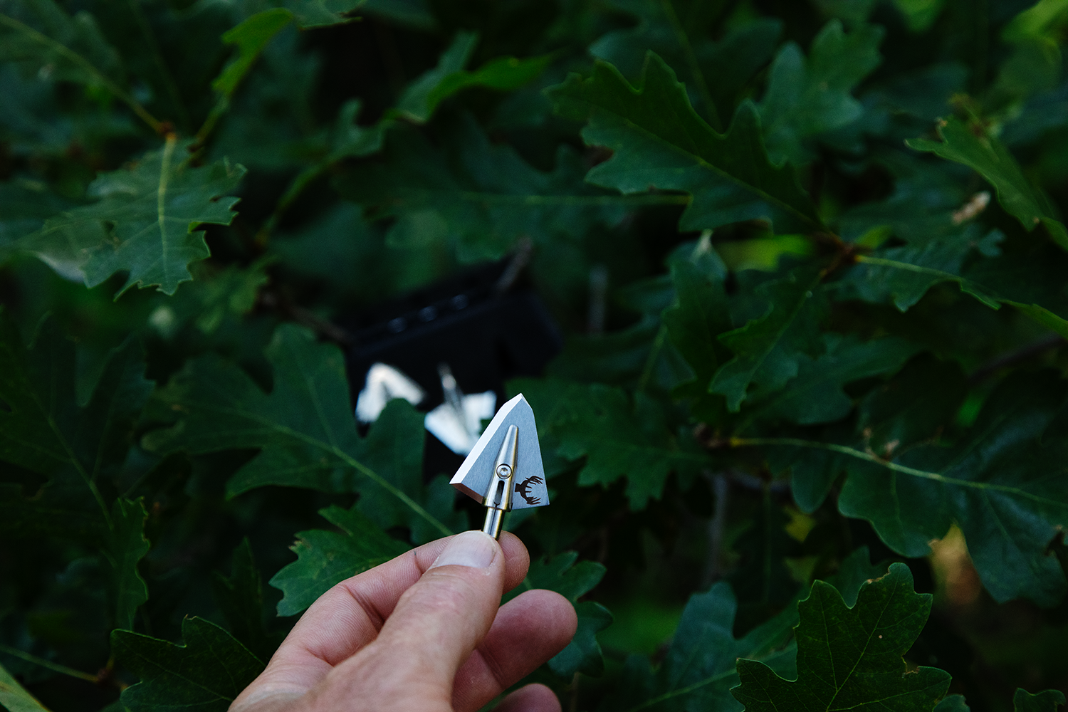 getting a single bevel broadhead ready for a deer hunt