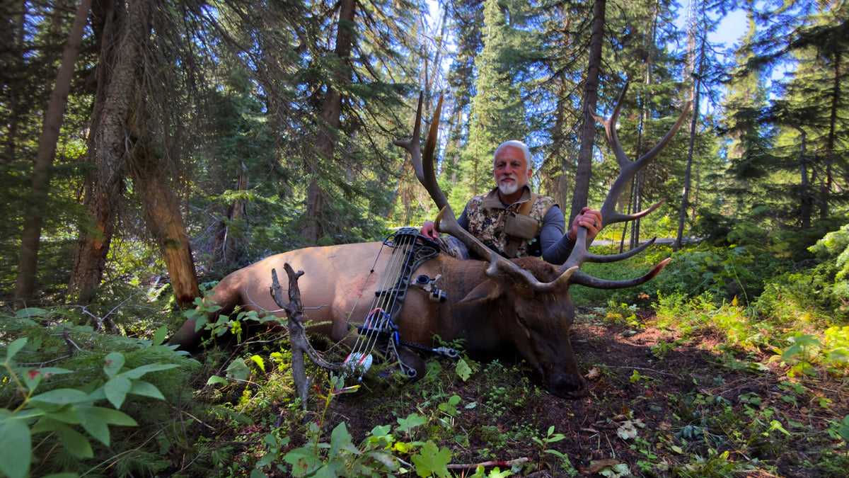 hunting elk with a bow in grizzly country from horseback
