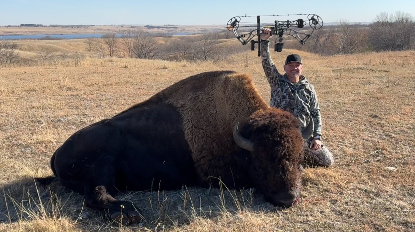 Broadhead for Bow Hunting Bison