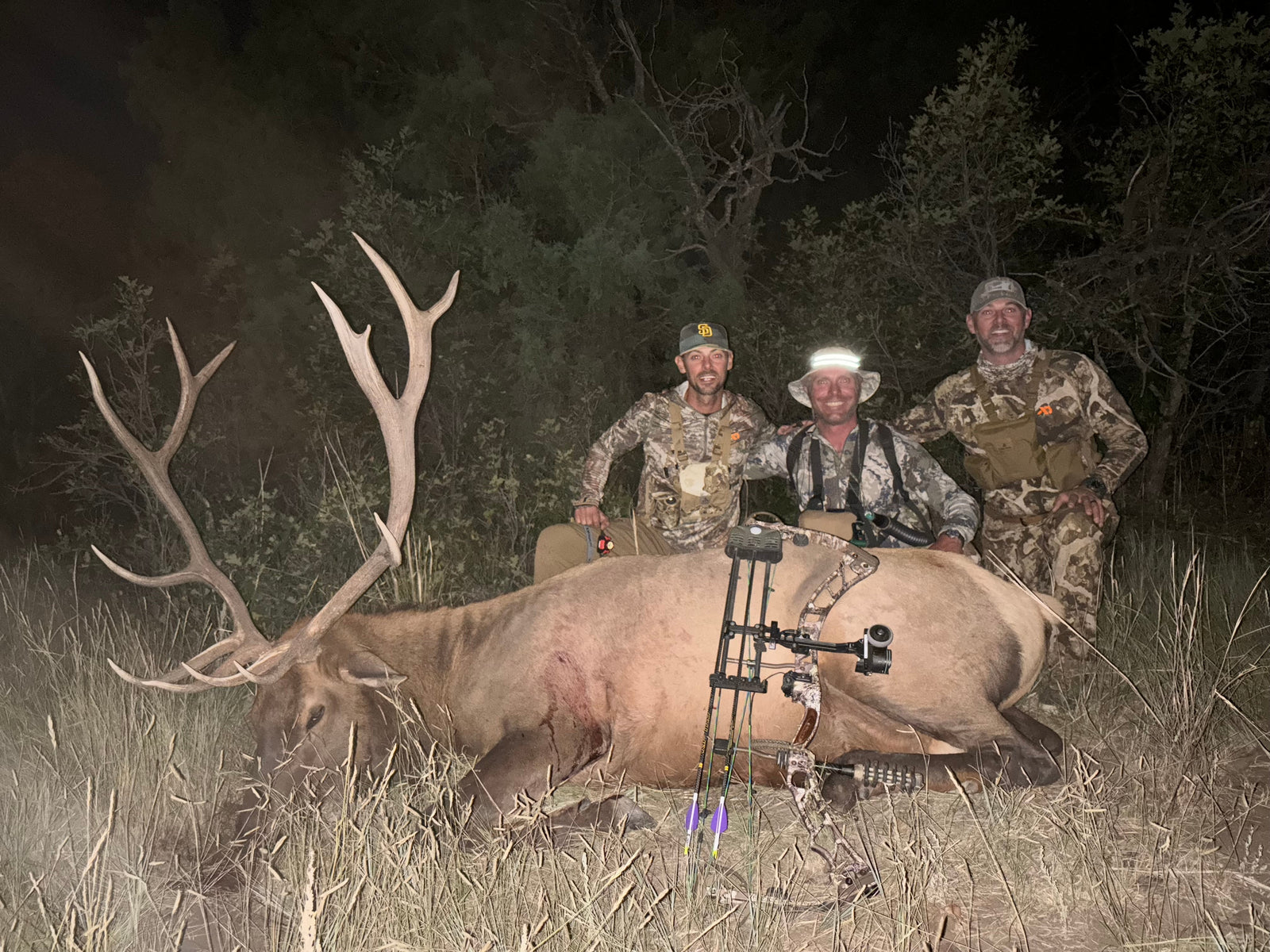 Calling Elk or Mounain Lions?
