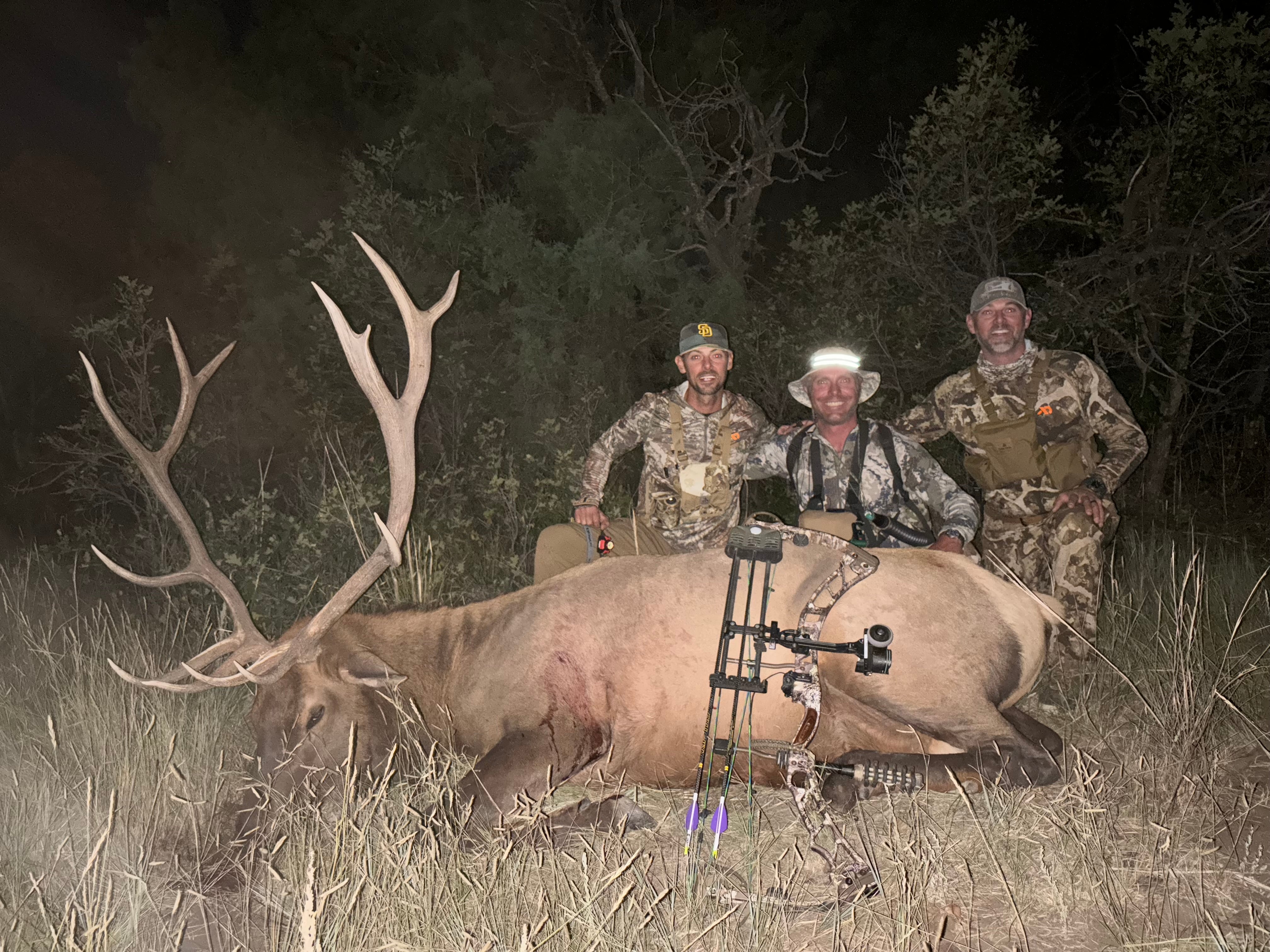 Calling Elk or Mounain Lions?
