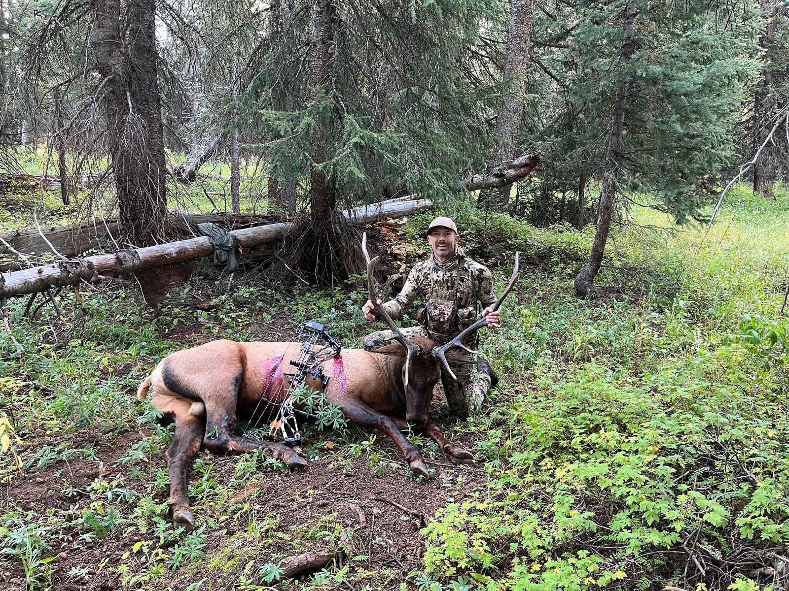 Effort Pays Off on Backcountry Elk Hunt