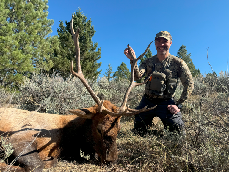 Elk Success with 100 Grain Broadhead