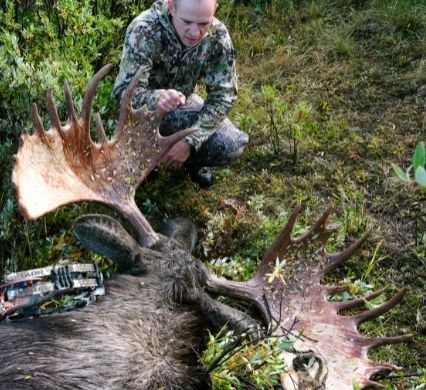 Are Expensive Broadheads Worth the Cost?