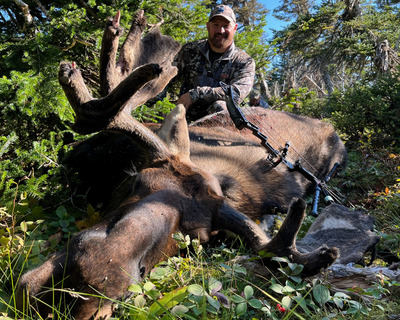 Two Pass-Throughs on Newfoundland Moose Hunt