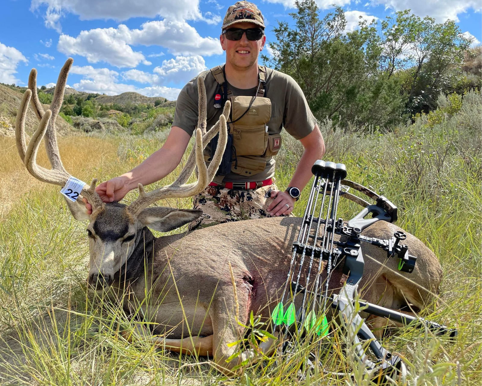 North Dakota Velvet Mule Deer