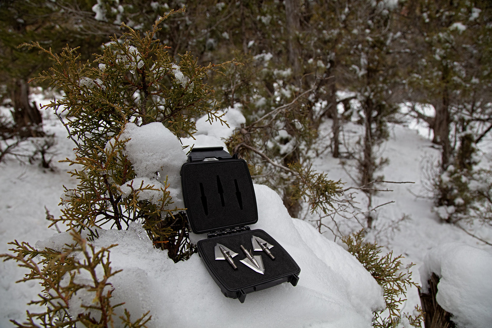Broadheads for cold weather bow hunting