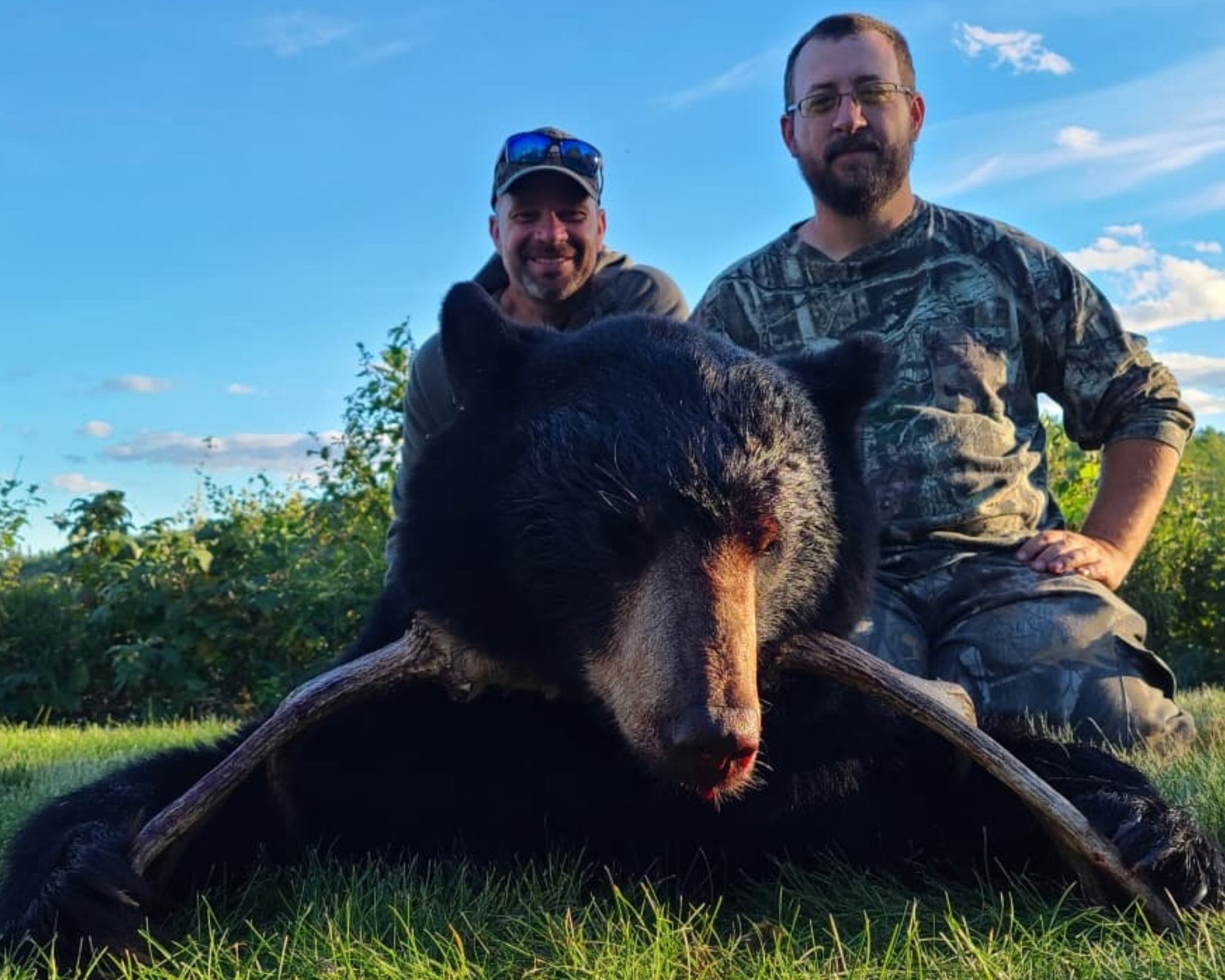 First Bear in Saskatchewan