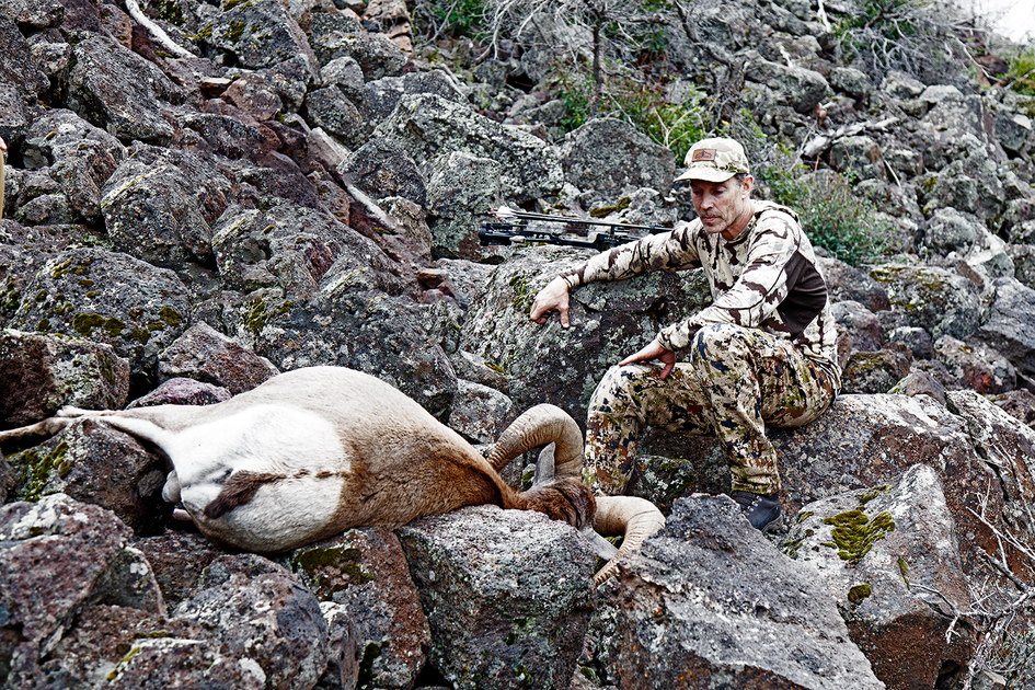 Iron Will's 2025 Arrow Build Recommendations with Bill Vanderheyden ...