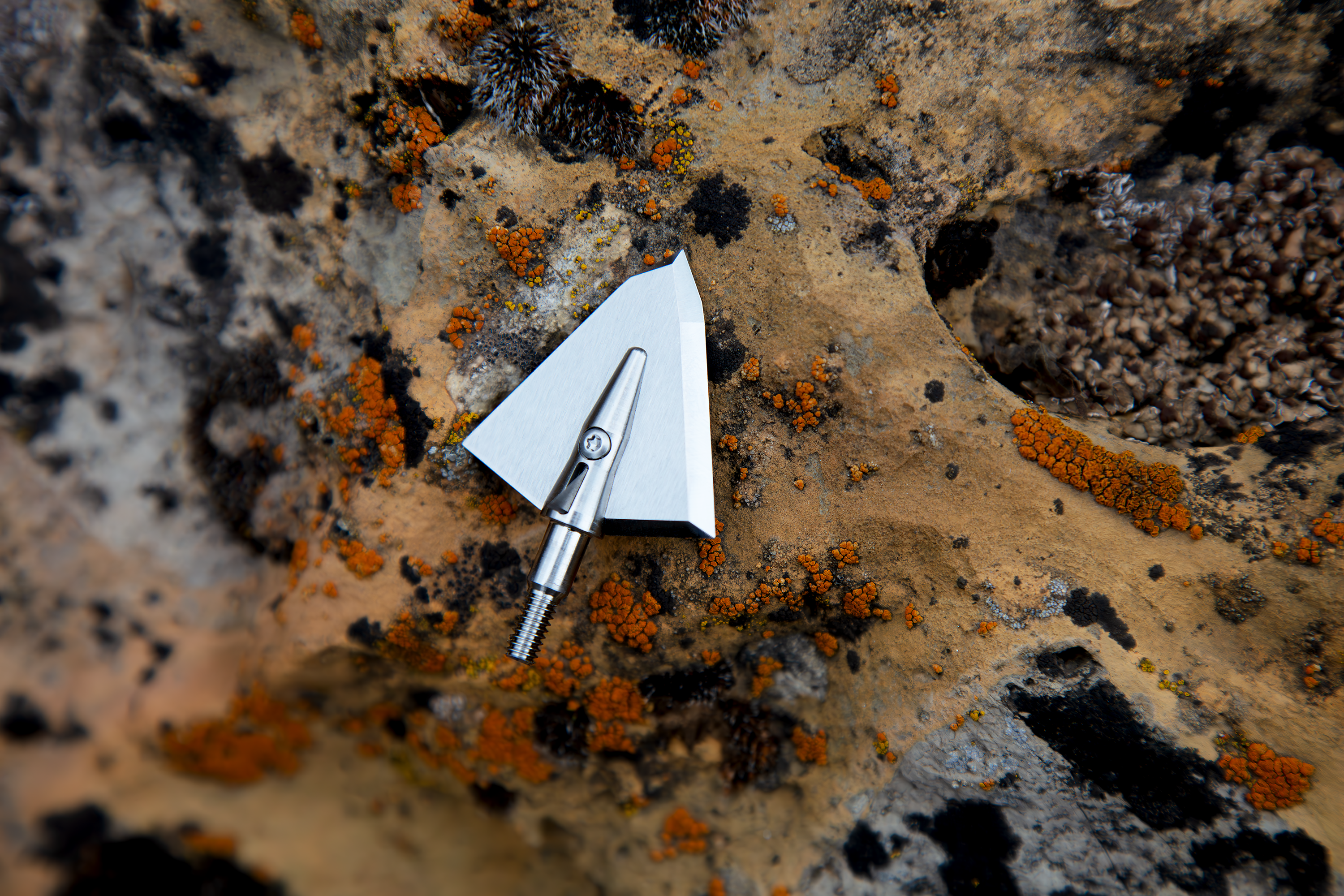 fixed blade broadhead for a bow hunter