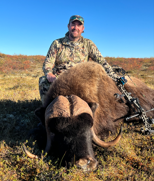 Musk Ox - 10 Yards and Done