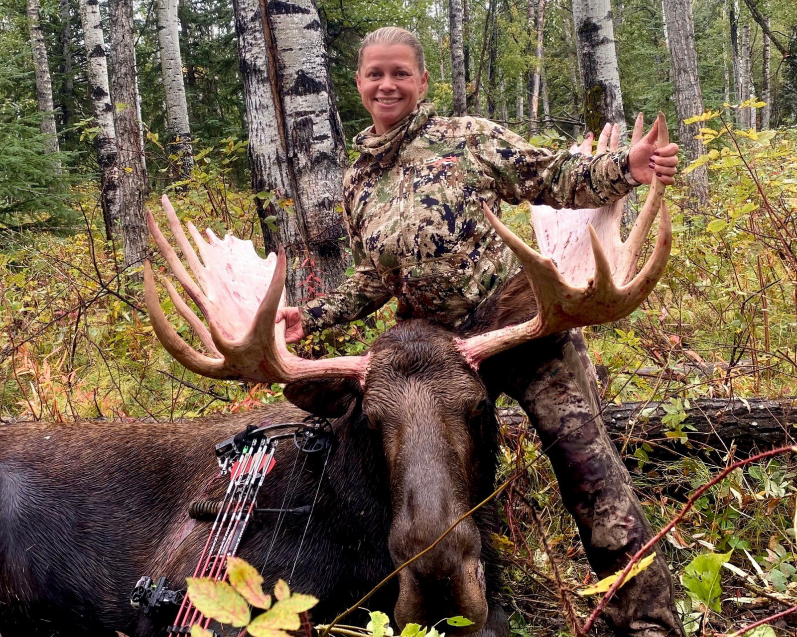 Moose and Elk with Same Broadhead