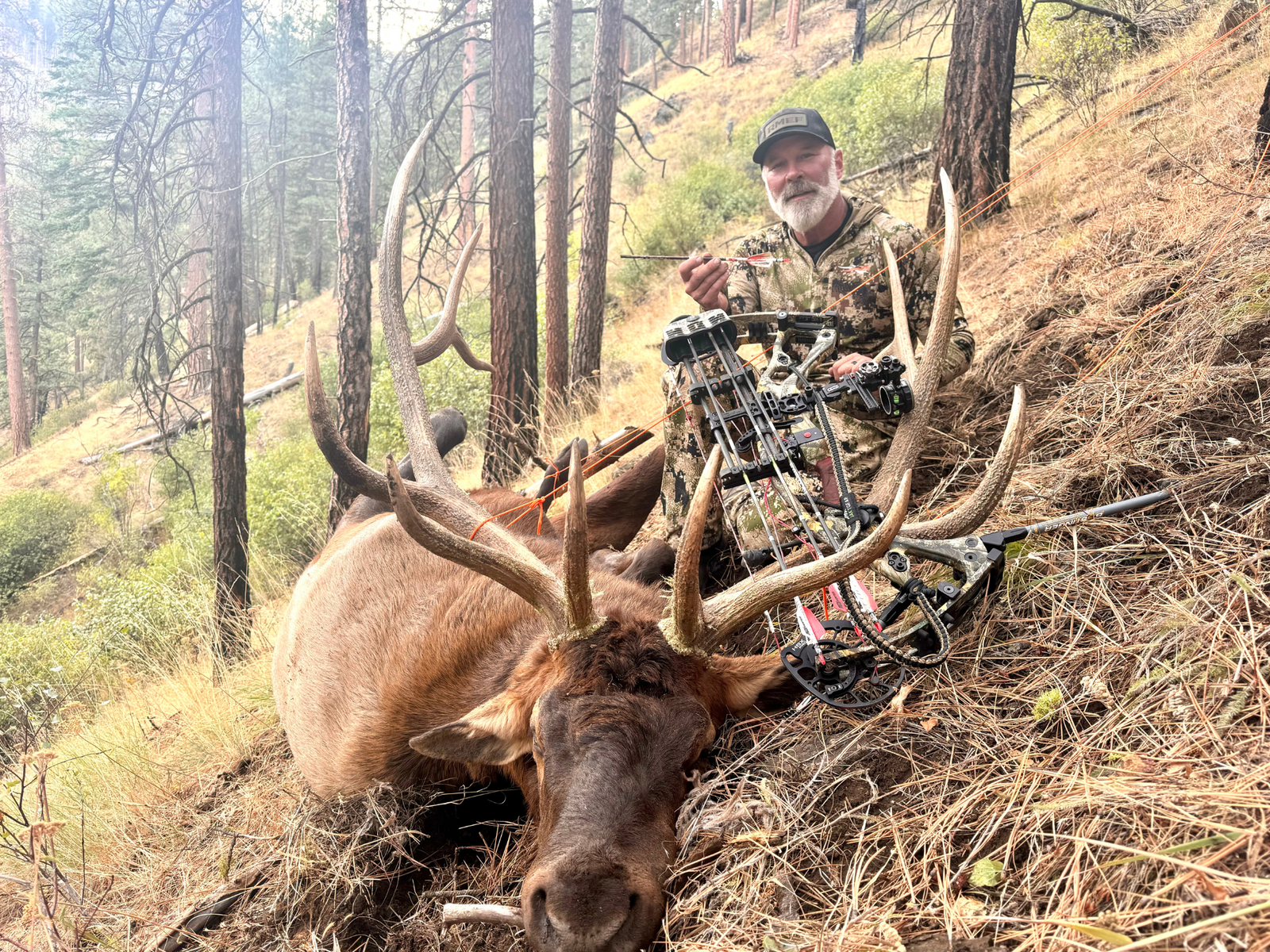 Big Bull Elk Arrow Setup