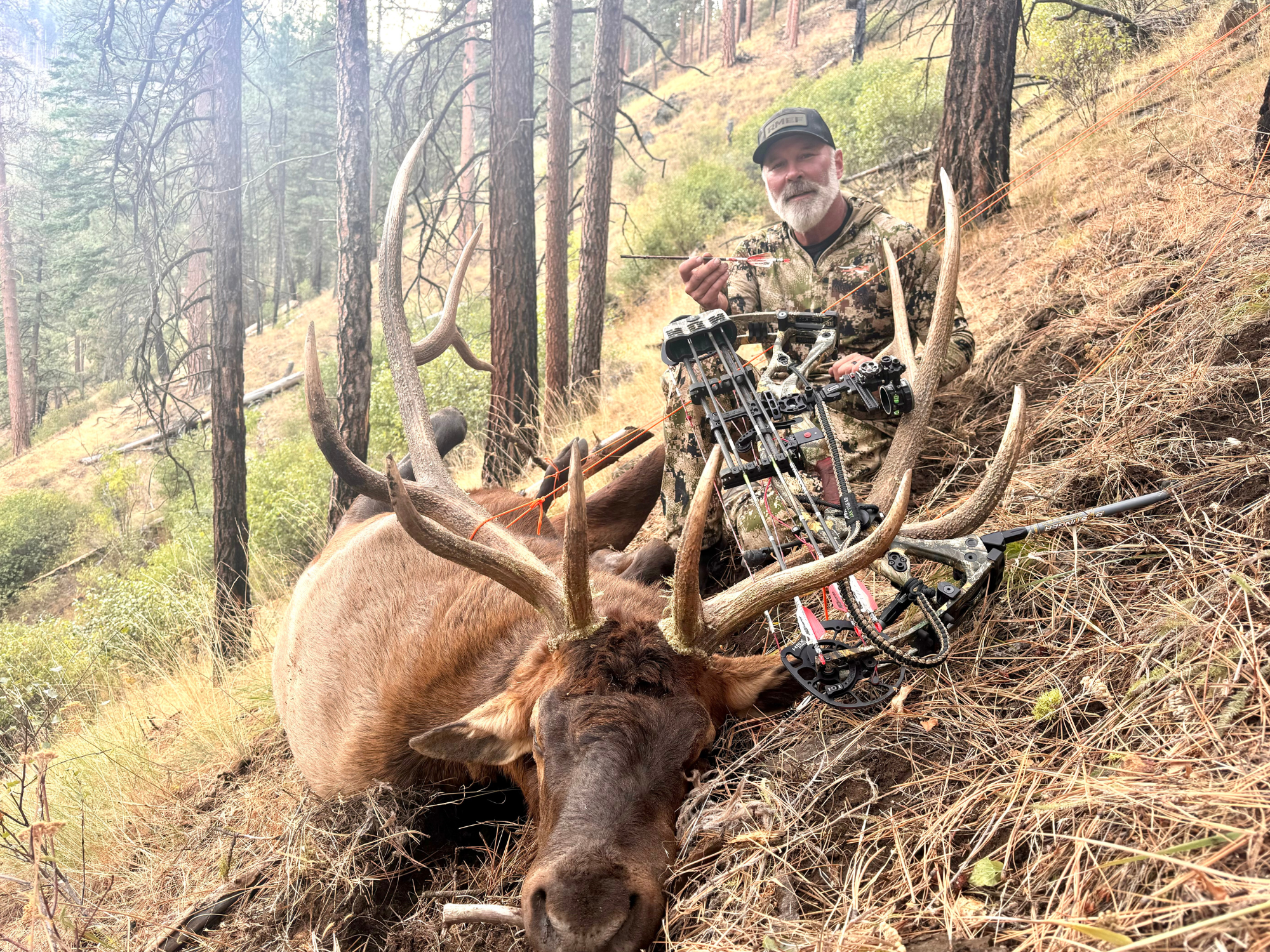 Big Bull Elk Arrow Setup