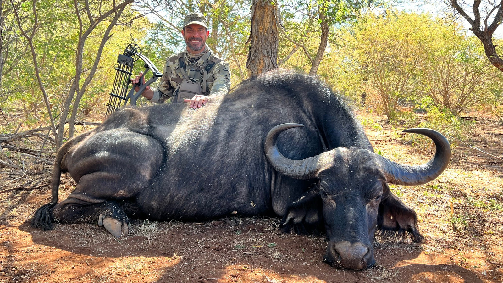 Cape Buffalo Heart Shot