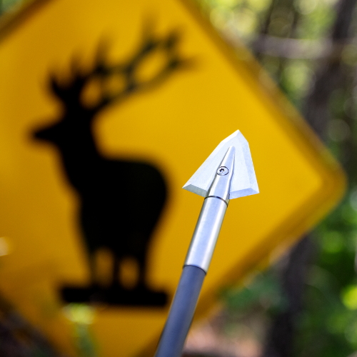 broadhead and arrow in foreground with blurred out road sign with elk silhouette in background