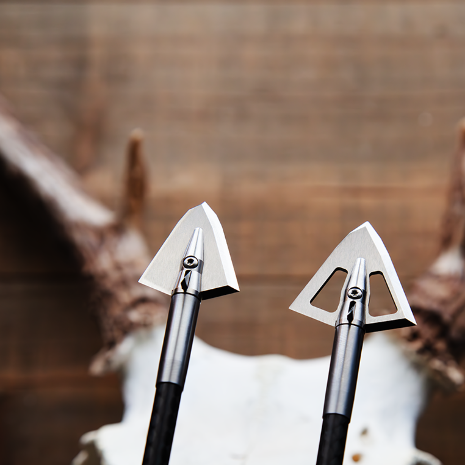 How to Choose the Best Broadhead for Elk, Deer, Bear, and Other Big Game
