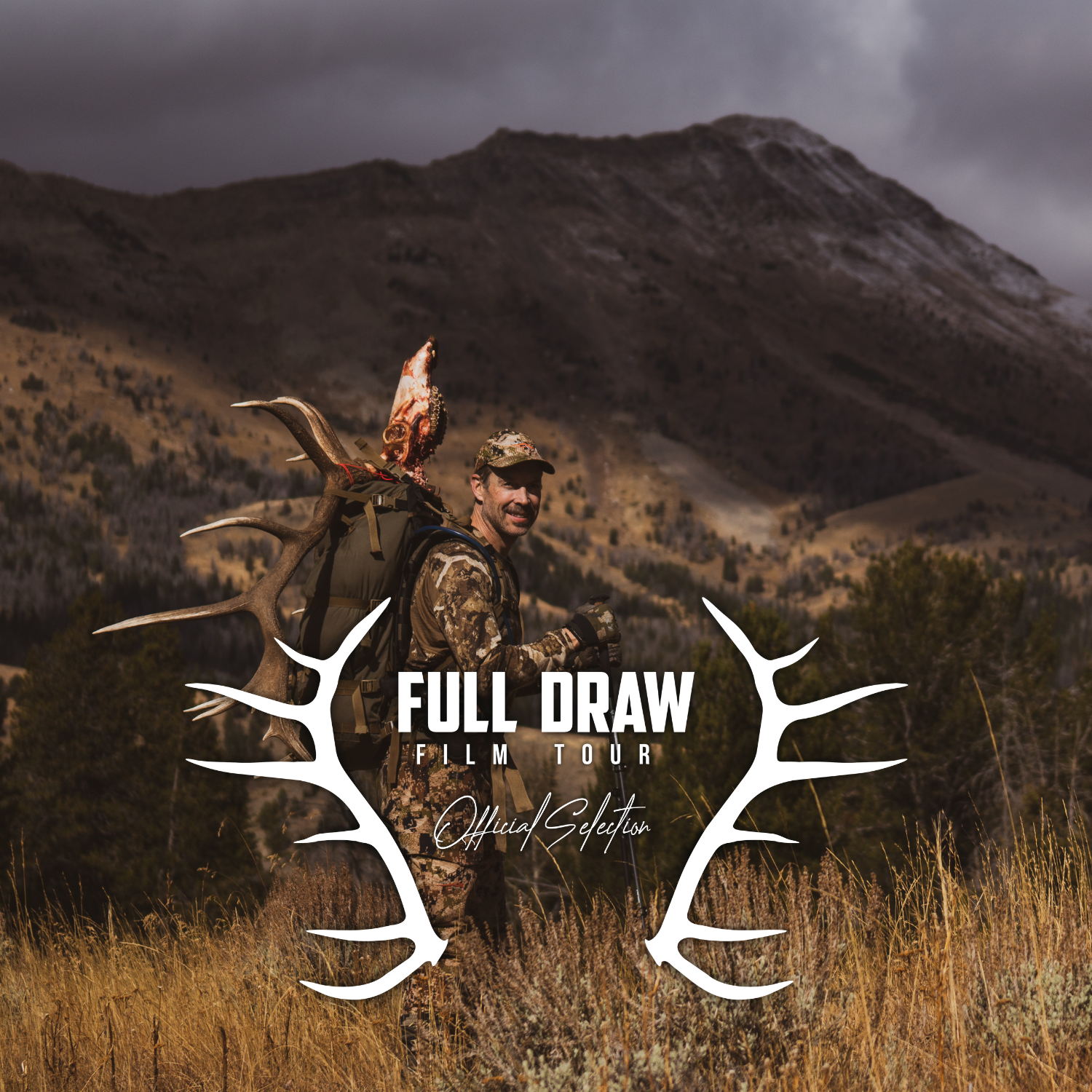 Backcountry Bulls and an Iron Will