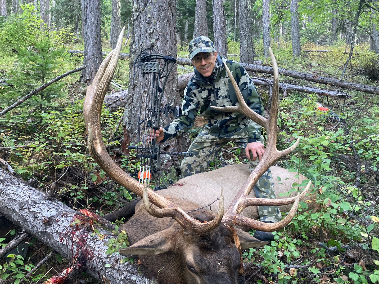 elk with bow