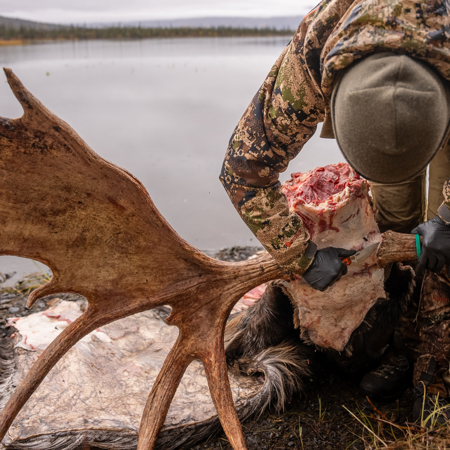 How to Skin a Head and Remove the Jaw in the Backcountry
