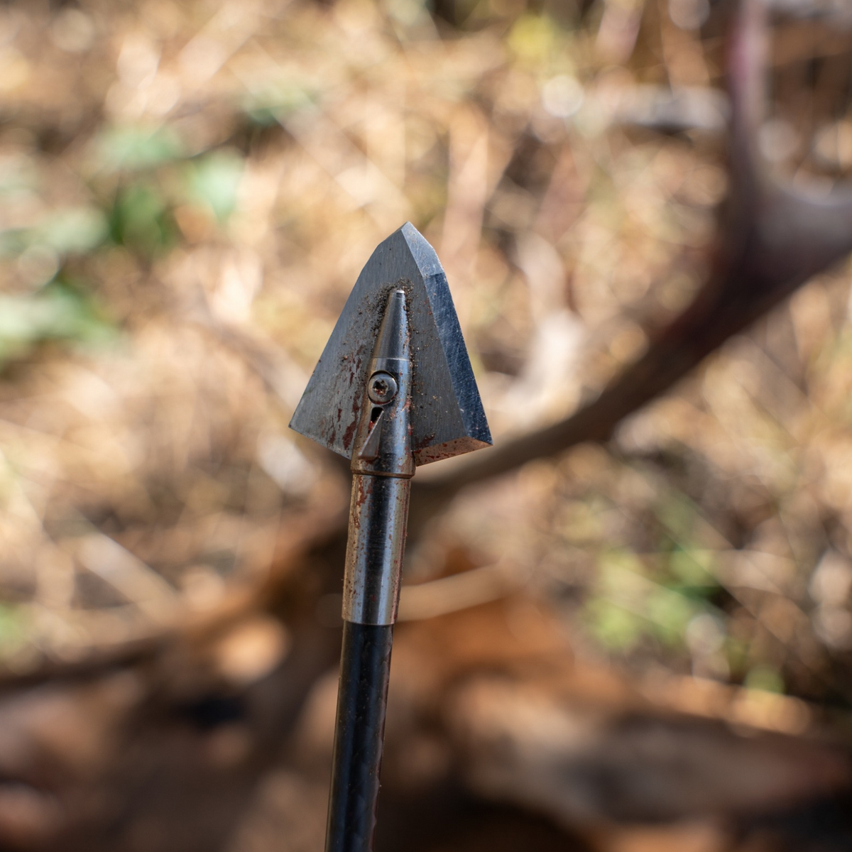 How to Care for and Maintain Your Broadheads