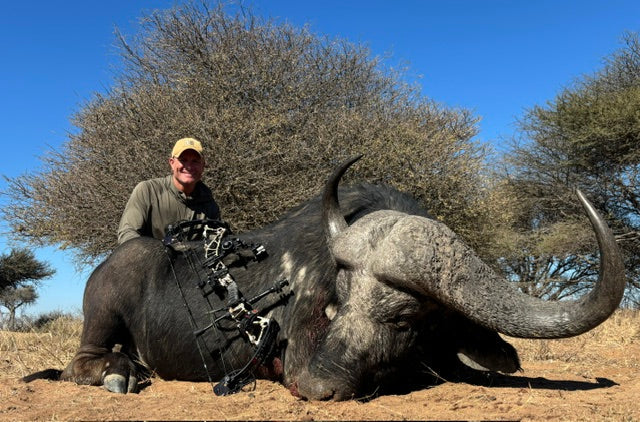 Cape Buffalo with 62lb Bow