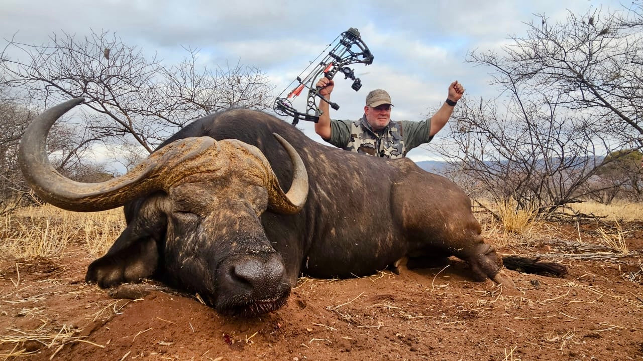 Broadheads for Cape Buffalo