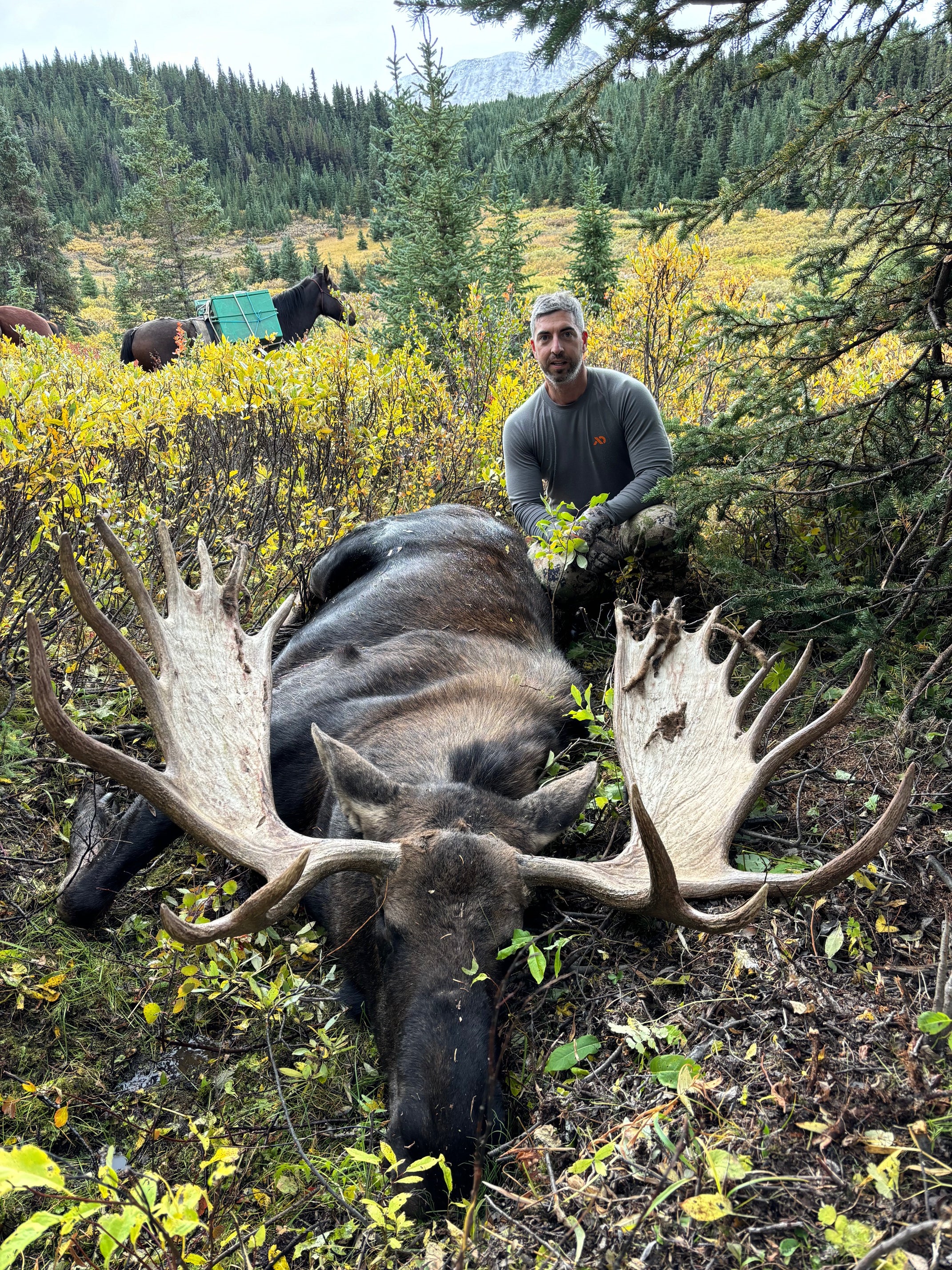 Backcountry Moose Rut Hunt